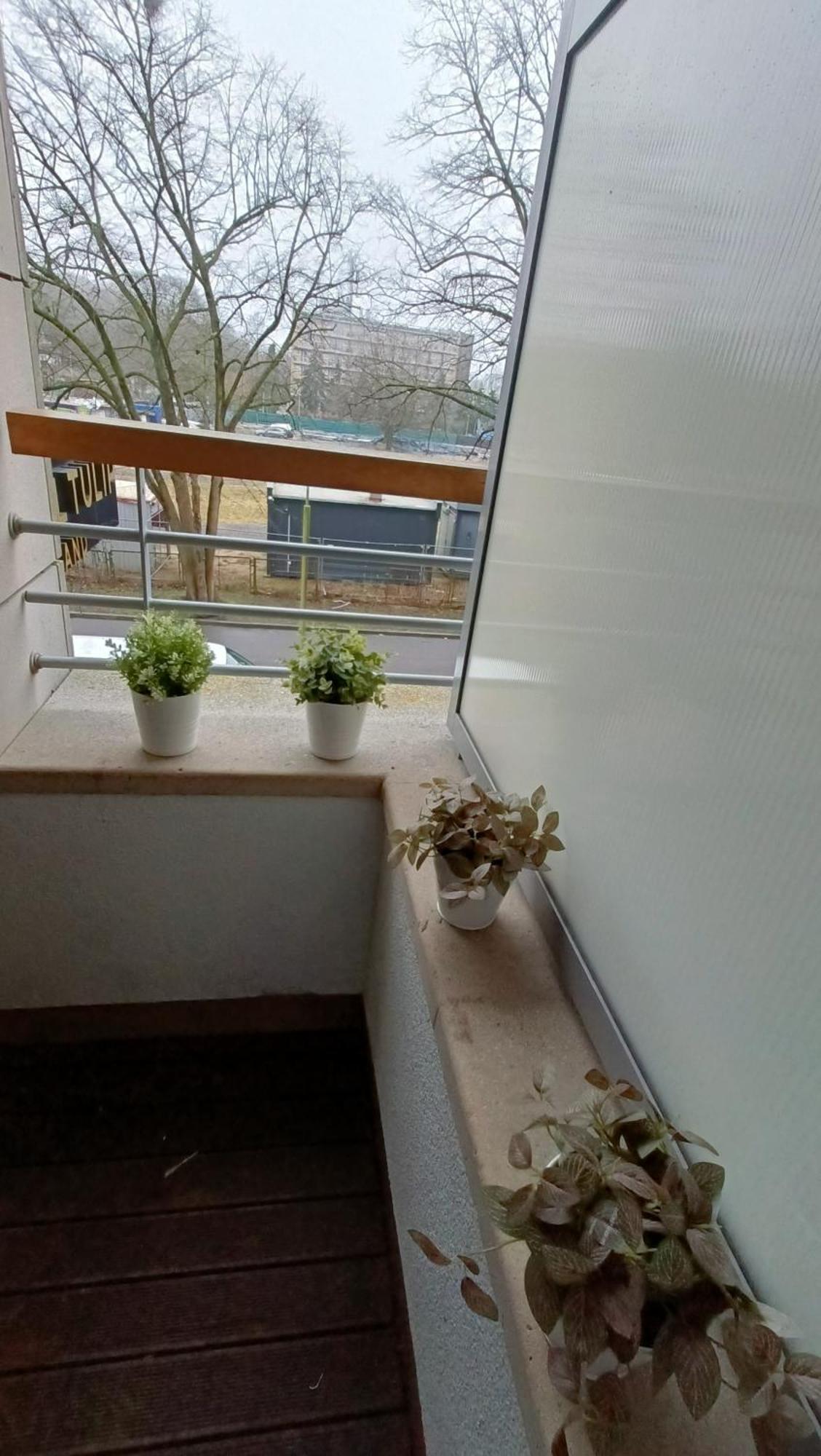 120 W 5 Gwiazdowym Royal Tulip Sand 200 M Od Plazy Dobruk Apartamenty Kolberg Exterior foto